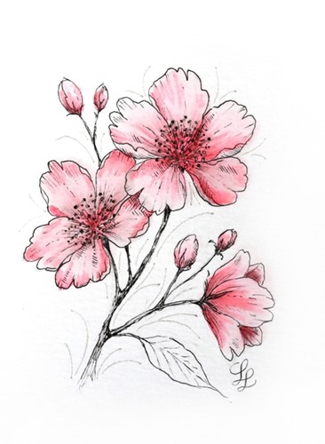 Tekenset Sakura Creative Kit Cherry Blossom 6 stuks-3