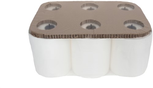 Handdoekrol Cleaninq Matic B 2-laags 21cmx150m wit-2