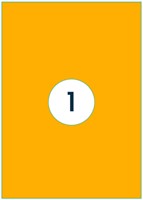 Etiket Rillprint 210x297mm fluor oranje 100 stuks
