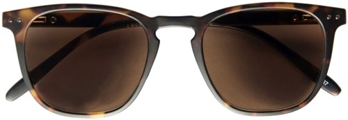 Zonnebril I Need You  +2.00 dpt Playa havanna