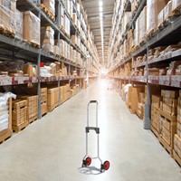 Steekwagen BRASQ opvouwbaar HT60 incl. bagagespin 60Kg-5