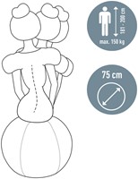 Actieve zitbal Leitz Ergo 75cm anti-rol design-1