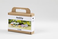 Mini Hobbyset Creativ Company boetseren steen met insect-3