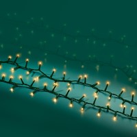 Kerstverlichting Lumineo LED 1600cm-3