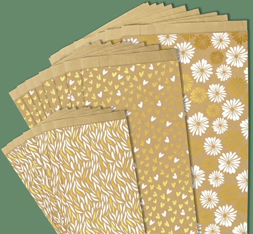 Cadeauzak Clairefontaine 12x24x4.5cm kraft golven 50 stuks-2