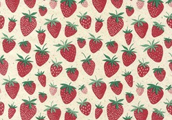 Apparaatrol Strawberry 200mx50cm