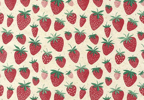 Apparaatrol Strawberry 200mx50cm