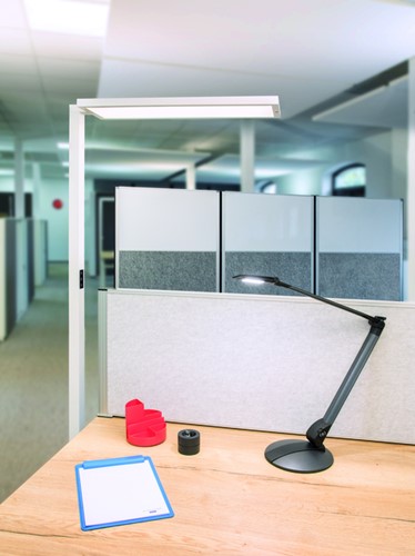 Vloerlamp MAUL Senja LED beweging- daglichtsensor dimbaar wit-2