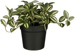Kunstplant Mica Tradescantia in pot groen 16x16cm