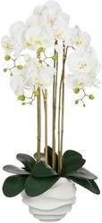 Kunstplant Mica Phalaenopsis in pot wit 40x34x82cm