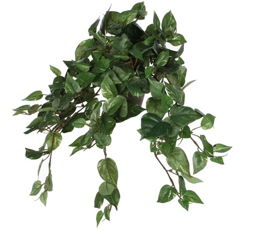 Kunstplant Mica Scindapsus hangend groen Ø25 45cm