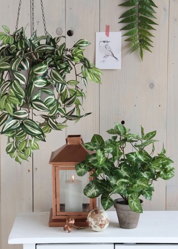 Kunstplant Mica Syngonium groen in pot Ø25 35cm-2