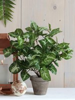 Kunstplant Mica Syngonium groen in pot Ø25 35cm-3