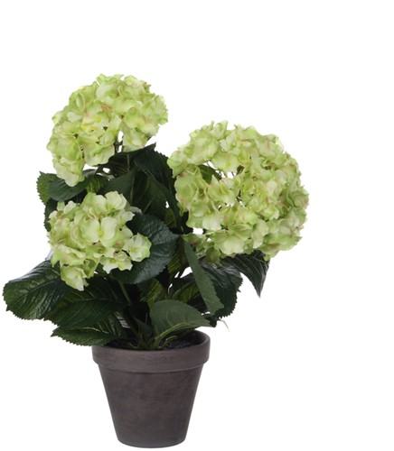 Kunstplant Mica Hortensia in pot groen Ø35 40cm