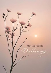 Wenskaart Hallmark condoleance bloemen pak à 6 stuks