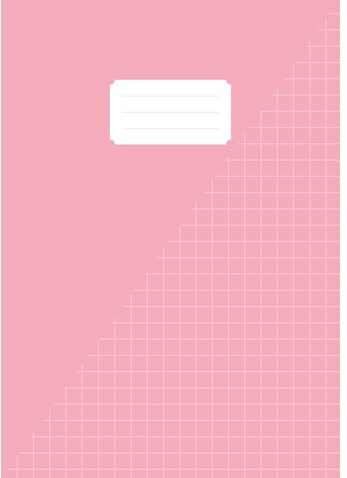 Schrift Kangaro A4 ruit 10mm 160 pagina's 60gr pastel assorti 5 stuks-3