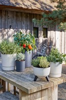 Plantenpot Mica Coco met schotel rond hoogte 23,5 Ø22,5 cm beige-2