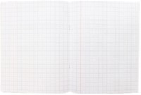 Schrift Kangaro A5 ruit 10mm 80 pagina's 60 gram assorti pastel 10st-4