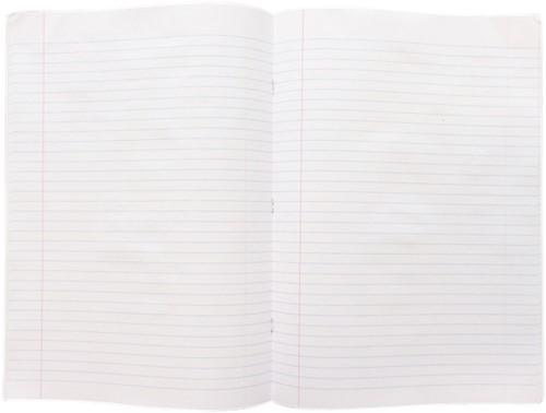 Schrift Kangaro A4 lijn 160 pagina's  60gr assorti pak à 5 stuks-3
