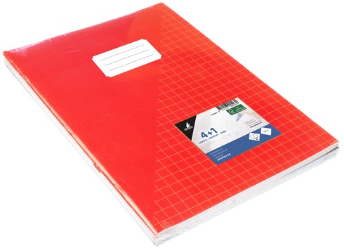 Schrift Kangaro A4 ruit 10mm 160 pagina's 60gr assorti pak  à 5 stuks-2