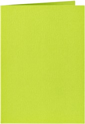 Correspondentiekaart Papicolor dubbel 105x148mm appelgroen 6/st