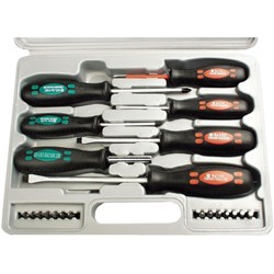 Schroevendraaier- en bitset 21-delig