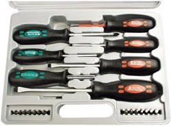 Schroevendraaier- en bitset 21-delig