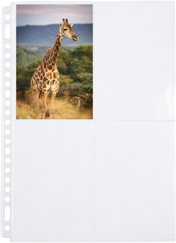 Showtassen A4 23r. foto 10x15cm pk/10-2