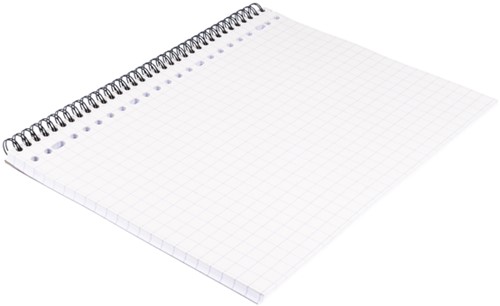 Collegedictaat Multo 23r. ruit 10mm 80gr. 80vel pk/80-2