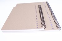 Collegedictaat Multo 23r. ruit 10mm 80gr. 80vel pk/80-1