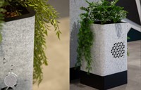 Sfeerfoto plantenbak