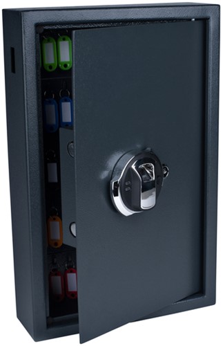Sleutelkast Pavo Fingerprint 50haken donkergrijs 