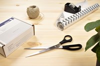 Schaar Westcott 260mm RVS met kunststof grip-3