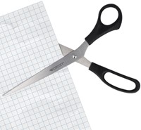 Schaar Westcott 260mm RVS met kunststof grip-2