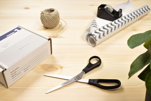 Schaar Westcott 210mm RVS met kunststof grip-3