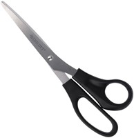 Schaar Westcott 210mm RVS met kunststof grip-3