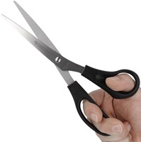 Schaar Westcott 210mm RVS met kunststof grip-2