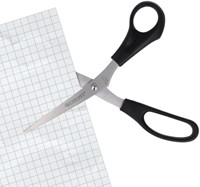Schaar Westcott 210mm RVS met kunststof grip-3