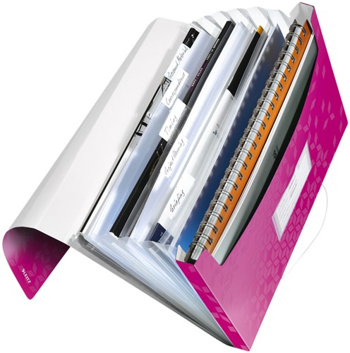 Projectmap Leitz WOW pp roze-2