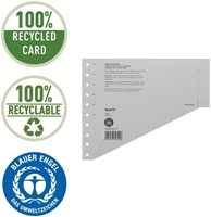 Scheidingsbladen Leitz A4 karton 200gr 11-gaats grijs-10