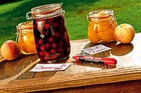 Viltstift Edding 300 rood-3