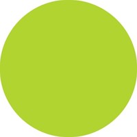 Brushstift STABILO Pen 568/33 lichtgroen-6