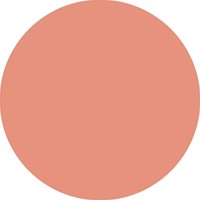 Brushstift STABILO Pen 568/26 apricot-6