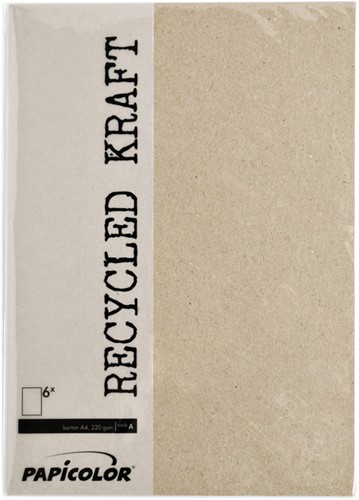 Kopieerpapier Papicolor A4 200gr kraftgrijs pk/6-2