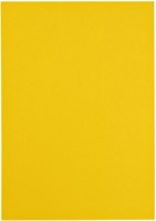 Kopieerpapier Papicolor A4 100gr dottergeel pk/12-3