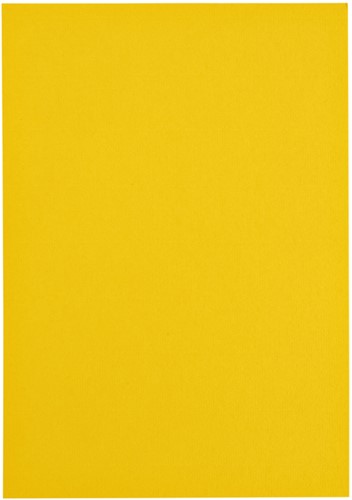 Kopieerpapier Papicolor A4 200gr dottergeel pk/6-3