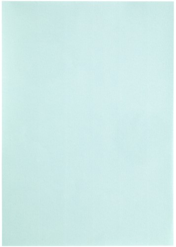Kopieerpapier Papicolor A4 200gr zeegroen pk/6-3