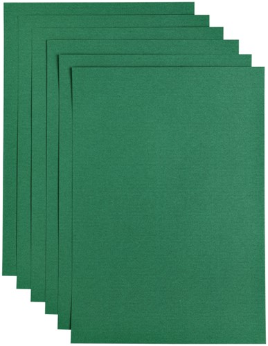 Kopieerpapier Papicolor A4 200gr dennengroen pk/6