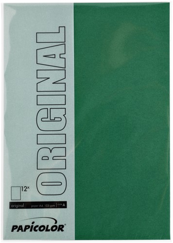 Kopieerpapier Papicolor A4 200gr dennengroen pk/6-2