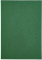 Kopieerpapier Papicolor A4 100gr dennengroen pk/12-3